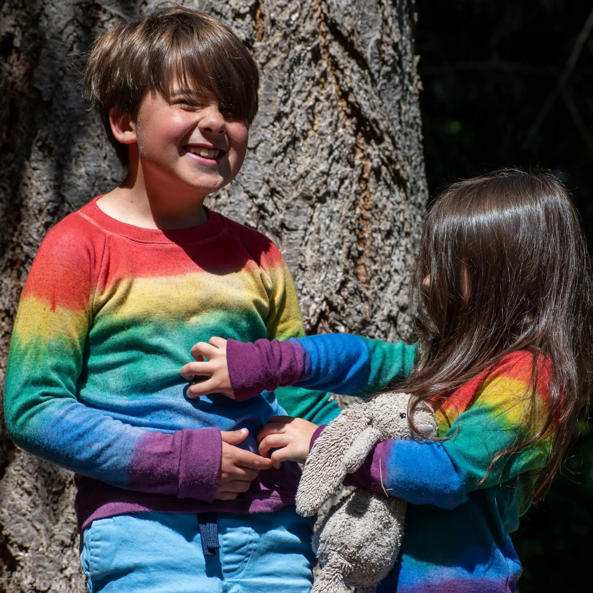 Merino Wool Long Sleeve Top - Heavy Weight - 300 gsm